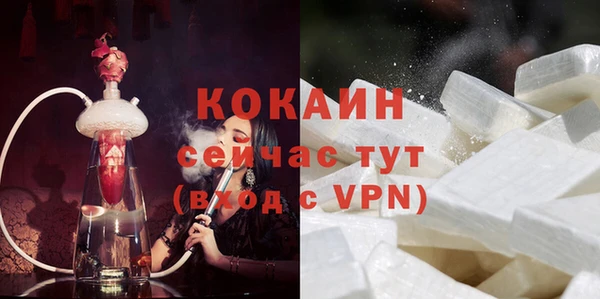дживик Бронницы