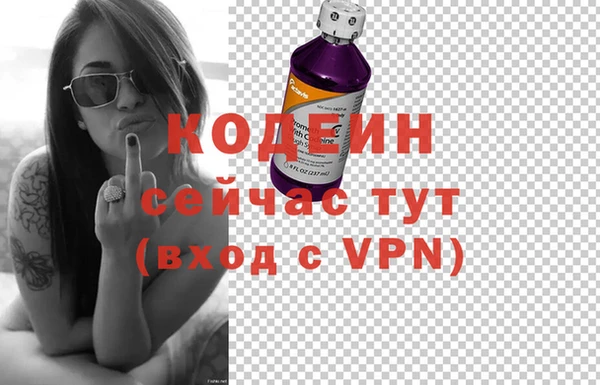 дживик Бронницы