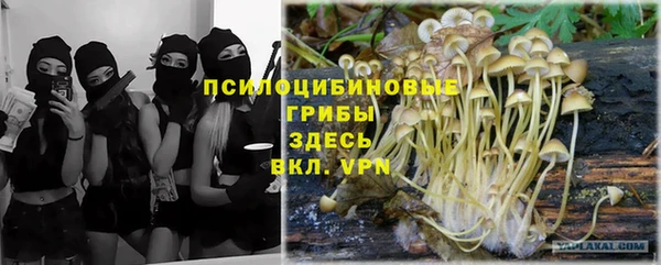 альфа пвп Бугульма