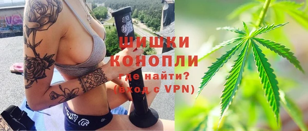 дживик Бронницы