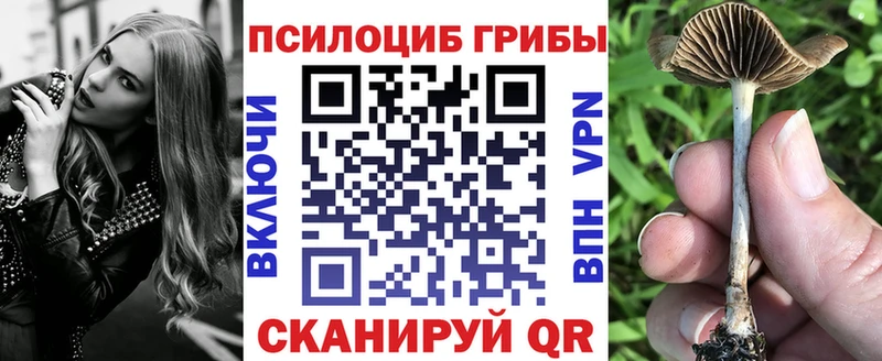Галлюциногенные грибы Psilocybine cubensis Кирс