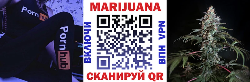 Конопля OG Kush  где найти   Кирс 